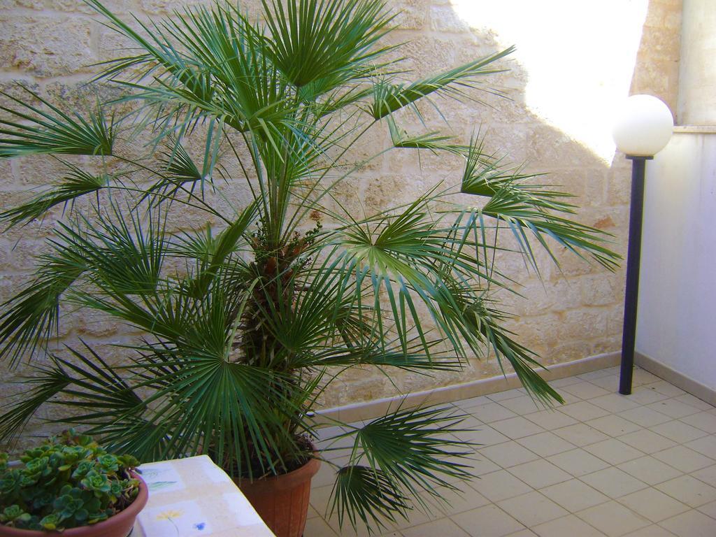 B&B Aquila Alberobello Exteriér fotografie